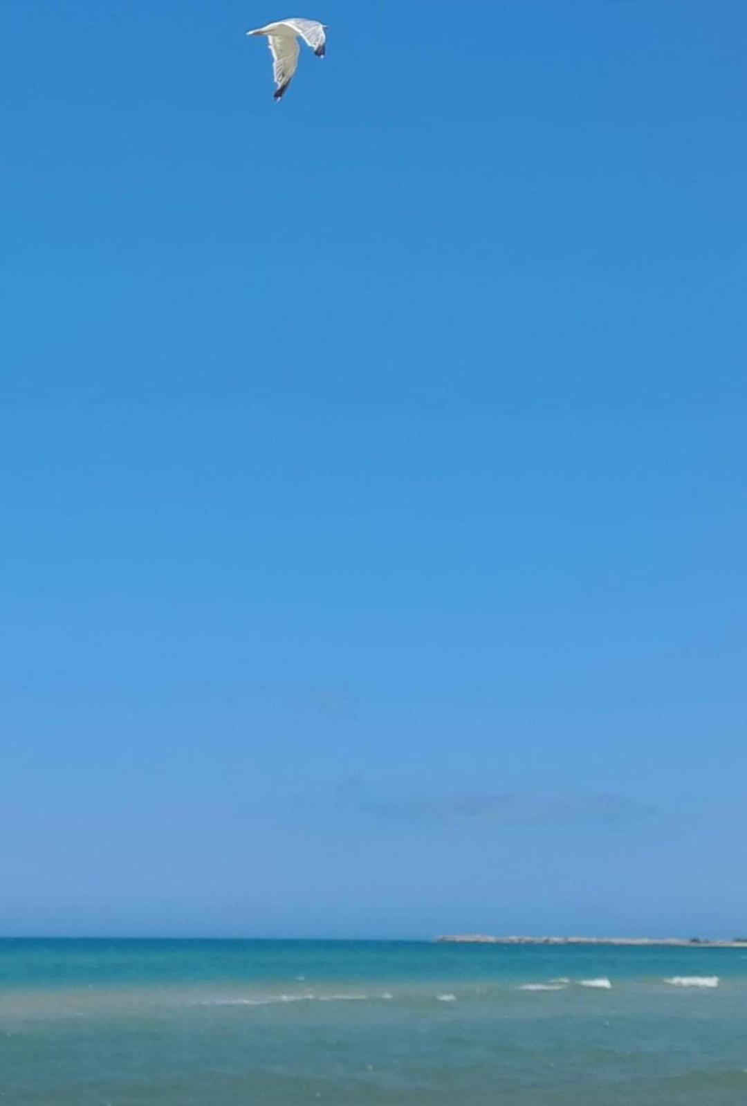 La Foggia Seaside Paradise Siculiana Dış mekan fotoğraf