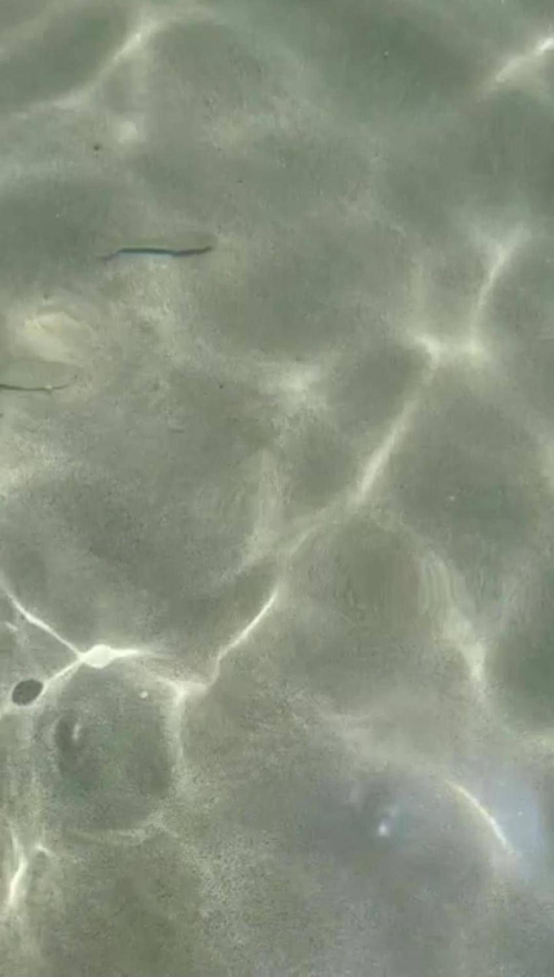 La Foggia Seaside Paradise Siculiana Dış mekan fotoğraf
